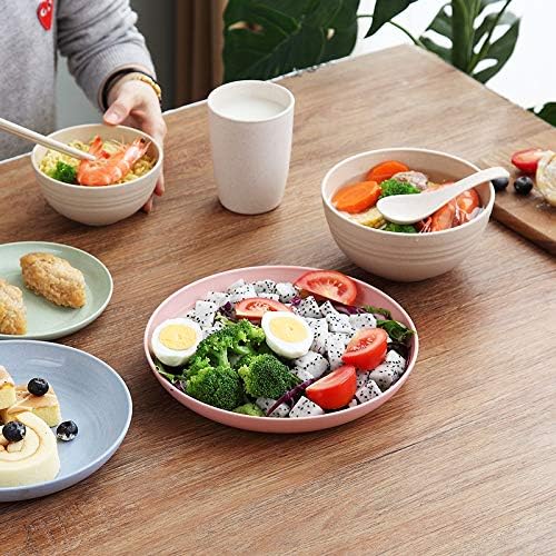 KOTA יפן סיבי קש חיטה סיבי שולחן בלתי ניתנים לשבירה צלחת 8.8 אינץ