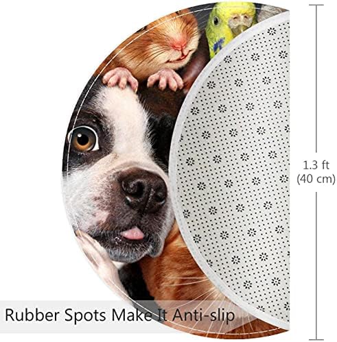 שטיחי אמבטיה עגולים רחיצים, אוגר חתול כלבים באדי הדפסת רפידות דלת רצפה רכות לרפידות שולחנות למקלחת אמבטיה סלון 15.7x15.7in