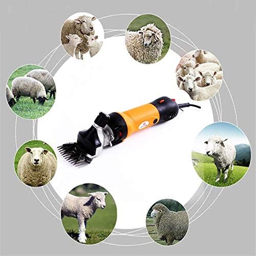 רלירה מקצועי כבד החובה חשמלי כבשים גז מכונת קוצץ, 500 ואט &מגבר; 6 מהירויות מתכוונן כבשים מזמרה טיפוח אספקת עבור גילוח פרווה צמר בבעלי חיים, ירוק