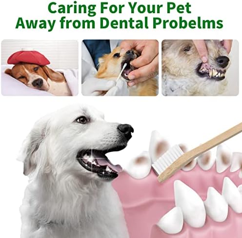 כלב מברשת שיניים ערכת / 3 כפול בראשות כלב שן מברשת + 3 כלב שיניים שן סקלר ומגרד / כלב שן צחצוח ערכת / חתול מברשת שיניים / מברשת שיניים לכלבים / קטן כלב מברשת שיניים / גור מברשת שיניים ערכת-6-חבילה