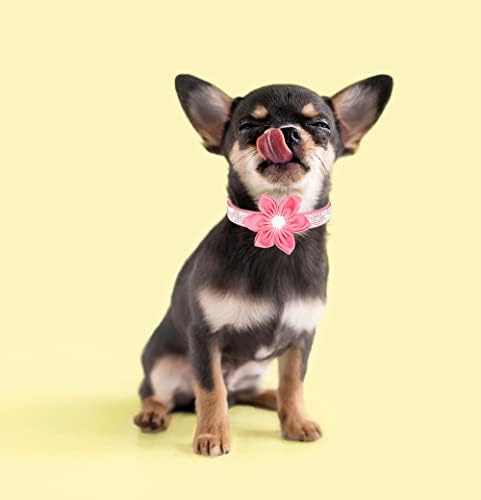 Tdtok Bling צווארוני כלבים לכלבים קטנים, צווארון כלב נצנצים של זמש רך מתכוונן חמוד עם אבזם מתכת חסון של יהלום פרחים, צווארוני כלבים ריינסטון לכלבים קטנים בינוניים