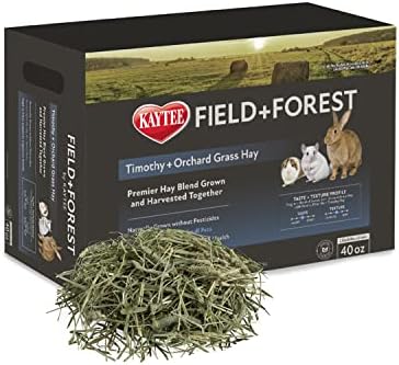 קייטי שדה + יער טימותי פרדס דשא חציר עם אפל מיני חציר בייל צרור