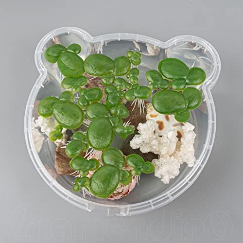 54 חבילה צף אקווריום צמחים מלאכותי פלסטיק מזויף המדחף סימולציה צף צמחים