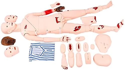 Hanshilai Life גודל טיפול מטופלים Manikin PVC Anatomical Anuman Model Simulator Simulator להכשרה וחינוך סיעודי