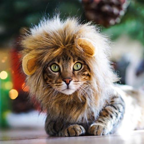 לשו רך כלב אריה רעמה מקסים חתול הלבשה חתול אריה רעמה