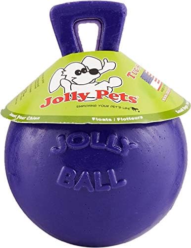 חיות מחמד של ג'ולי משיכה N-Toss Ball צבע: סגול, גודל: 6 H x 4.5 W x 4.5 D