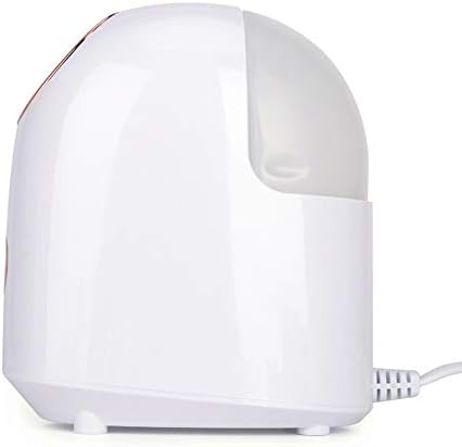 Straw Nano Ionic Faceer Steamer Lady Face מרסס אדים