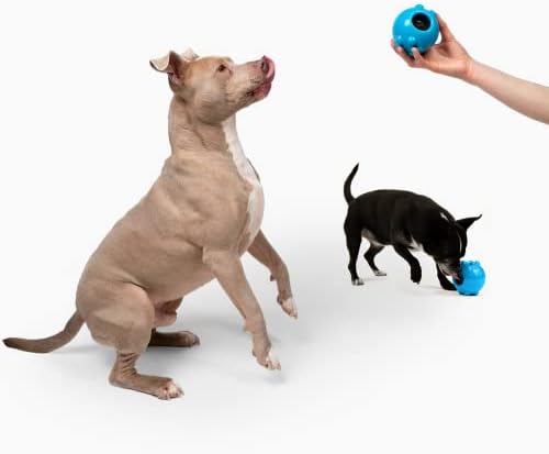 חיות מחמד של ג'ולי דיפר ג'ולי מטפל בצעצוע של כלבים; 3 '' כלבים קטנים/בינוניים, כחול