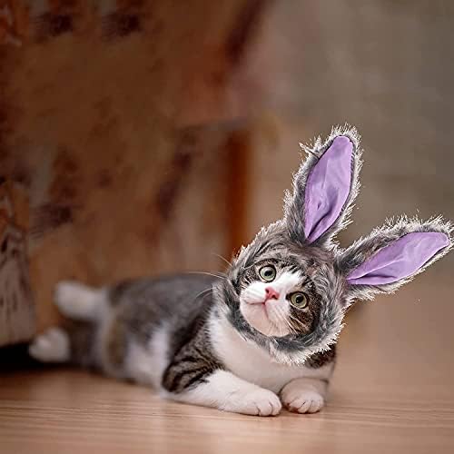 GREUS כובע ארנב ארנב חמוד עם אוזניים תלבושת לחיות מחמד ליל כל הקדושים לחתולים כלבים קטנים