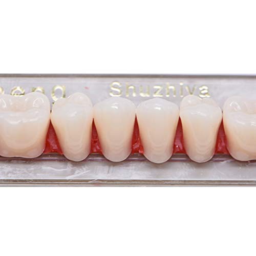 RZJZGZ שיניים שיניים שיניים שיניים תותבת 3 מגדירה שיניים כוזבות לשיניים אימה של ליל כל הקדושים 23 A2 84 יח '