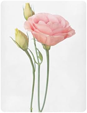 גיליונות עריסה של פרח ורוד ורוד אלזה סדין מצויד לבסינט לבנים פעוטות תינוקות, גודל סטנדרטי 52 x 28 אינץ '