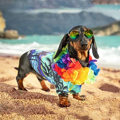 בגדי קיץ כלבים חולצה הוואי כלב עם משקפי שמש וחולצות גורים של זר צבעוני לכלבים קטנים לילדה ילדה חיות מחמד תלבושות בגדים לחתולים בגדים
