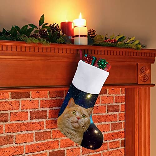 כוכב חתול אישי בהתאמה אישית לחג המולד בית חג המולד עץ עץ אח תלוי קישודים